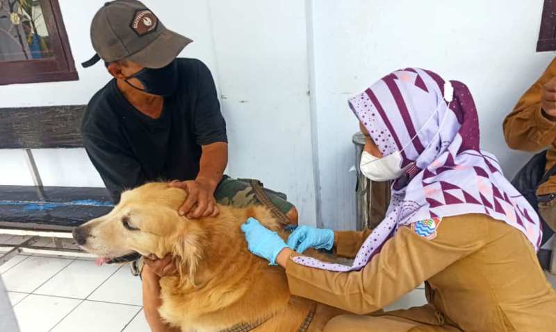 Covid Melonjak, Dispangtan Cimahi Hentikan Program Vaksinasi Rabies dan Flu Burung