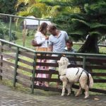 Objek Wisata Bersiap Sambut Pengunjung Objek Wisata Bersiap Sambut Pengunjung