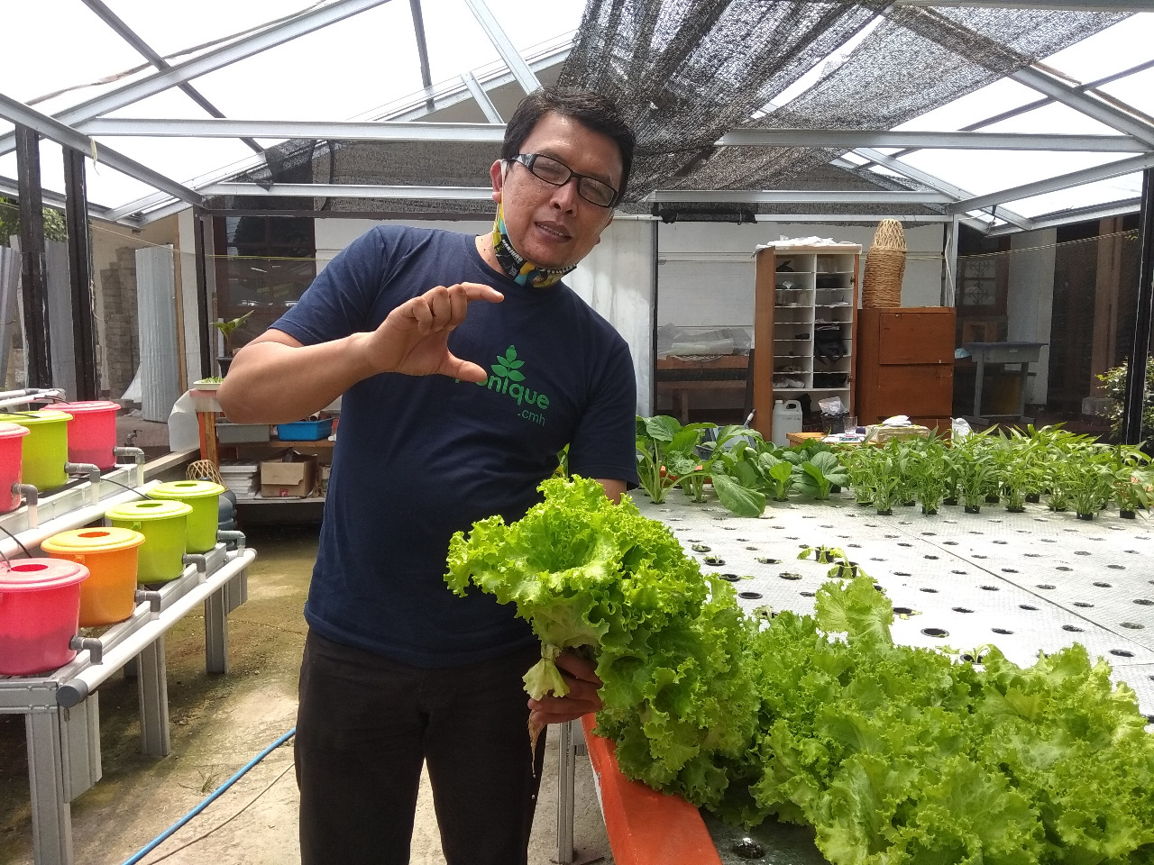 Merawat Tanaman Hidroponik Bersama Cimahi Hydroponik Community