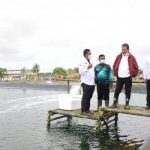 Resmikan Pembangunan 13 Klaster Tambak Udang, Menteri Kelautan dan Perikanan: Inovasi untuk Peningkatan Produktivitas