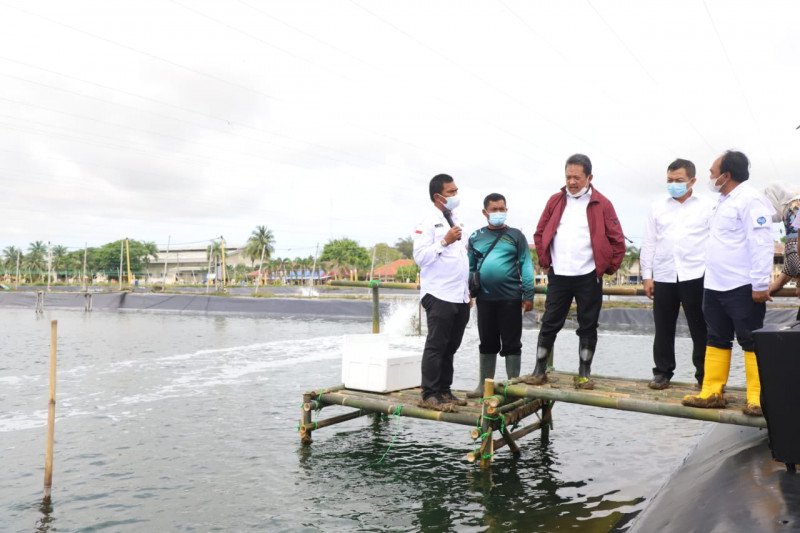 Resmikan Pembangunan 13 Klaster Tambak Udang, Menteri Kelautan dan Perikanan: Inovasi untuk Peningkatan Produktivitas