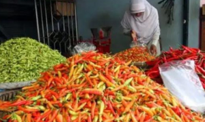 Catat! Ibu-ibu Harus Tahu, Kementan Jual Cabai Rawit Rp 32 Ribu per Kilogram
