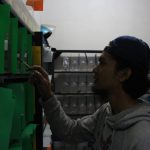 Lebih dari Sekadar Hobi, Ikan Cupang Juga Punya Nilai Ekonomi Tinggi