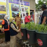 Terobosan Urban Farming, DISPANGTAN Kota Bandung Optimalkan Program Buruan Sae Pada Tahun 2021