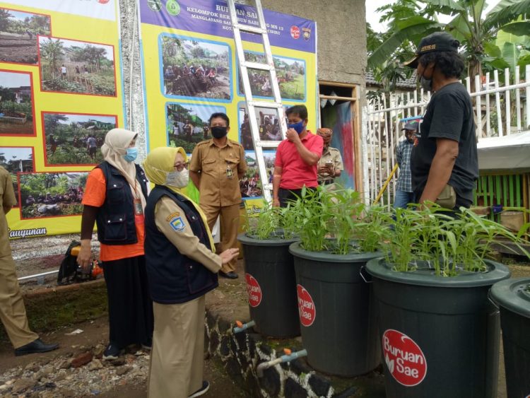 Terobosan Urban Farming, DISPANGTAN Kota Bandung Optimalkan Program Buruan Sae Pada Tahun 2021