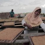 APTI Sebut Temanggung Pusat Distribusi Tembakau