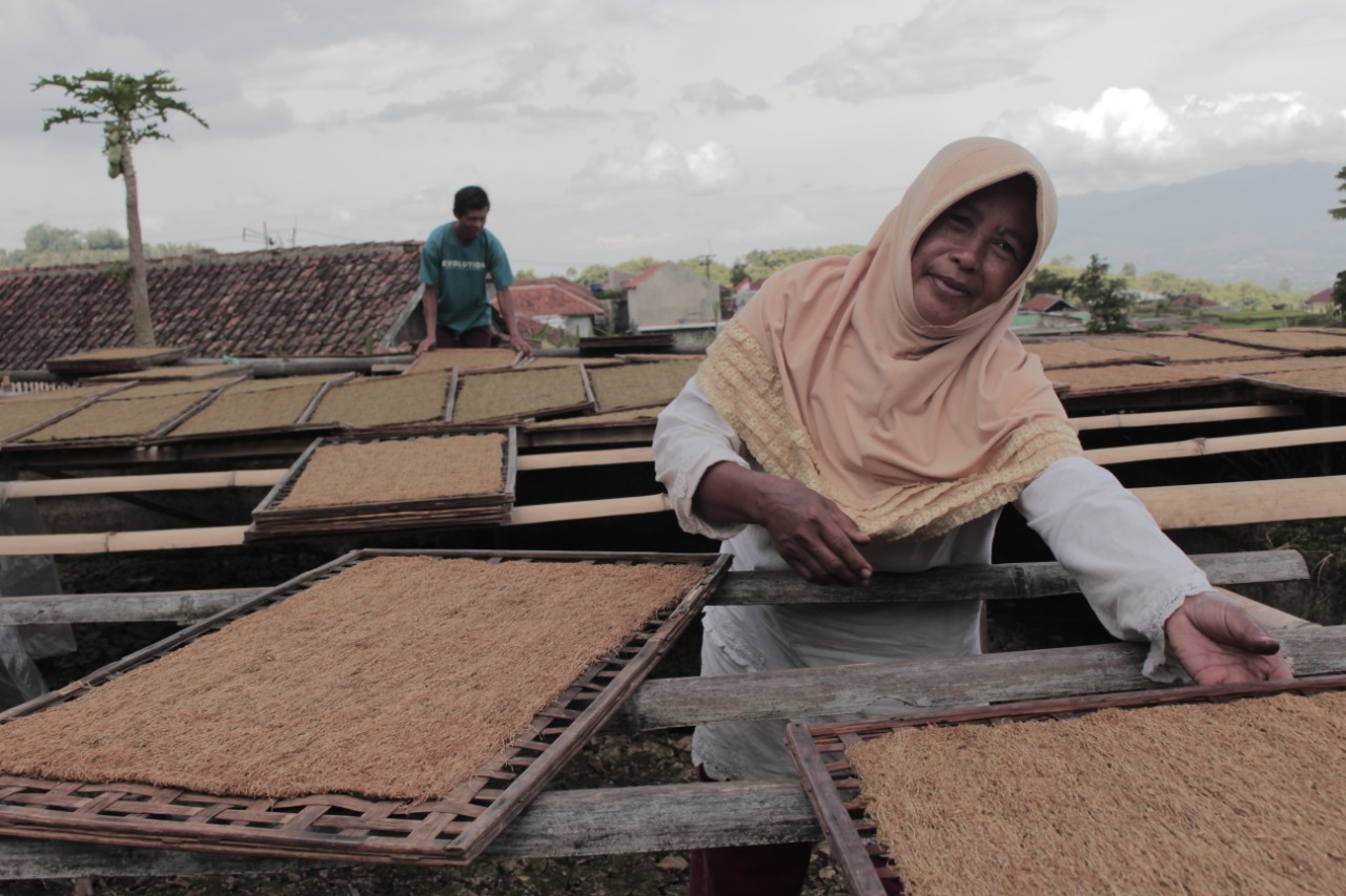 Sejumlah Petani Tembakau di Sumedang Kesulitan Mendapat Ijin Penjualan