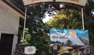 Wahana Bermain di Kebun Binatang Selama PPKM Ditutup