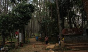 Lesunya Pariwisata Batu Kuda di Masa Pandemi