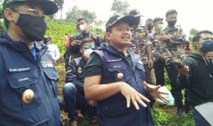 Penghijauan Pasca Longsor Sumedang, 8.000 Pohon Ditanam, Borpile Dipasang