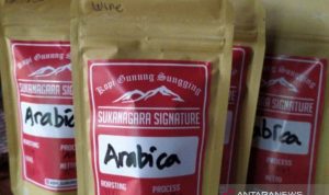 Permintaan Turun Drastis, Pemkab Cianjur Akan Dorong Produktivitas Petani Kopi