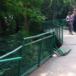 Forest Walk Baksil Tak Terawat