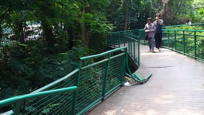 Forest Walk Baksil Tak Terawat