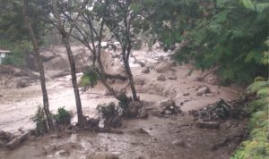 PLN Tanggulangi Kelistrikan Pasca Banjir Bandang di Cisarua Bogor