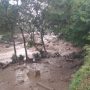 Hutan Lindung di Ujung Tanduk, Aktivitas Pembangunan Diduga Jadi Pemicu Banjir Bandang