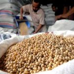 Kenaikan Harga Kedelai Terlalu Tinggi, Bulog Diusulkan Sebagai Importir Tunggal