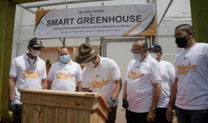 PT Agro Jabar Kembangkan Bisnis Sapi dan Budidaya Lobster