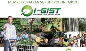 PT GMN membantah menjanjikan memberikan keuntungan pada bisnis I-GIST dalam bentuk pengelolaan investasi tanam pohon Jabon