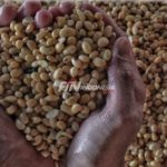 Kedelai Semakin Langka di Pasaran, Pengamat Ekonomi: Ini Harus Dicari Solusinya