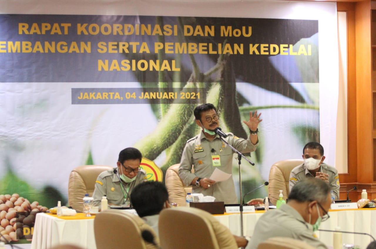 Impor Mahal, Kementan Fokus Tingkatkan Produksi Kedelai Lokal