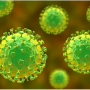 Ilustrasi virus korona