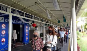 153 WN Tiongkok Diizinkan Masuk Indonesia di Masa Pandemi, Dirjen Imigrasi Kembali Beri Penjelasan
