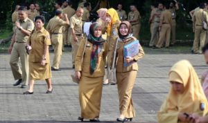 Posisi Jabatan PNS yang Akan Hilang, Padahal Panyak Pelamar