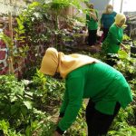 RW 01 Kelurahan Burangrang Bentuk Kelompok Buruan SAE "Sabilulungan"