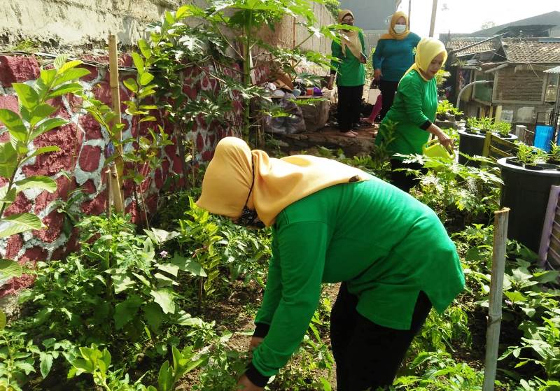 RW 01 Kelurahan Burangrang Bentuk Kelompok Buruan SAE "Sabilulungan" RW 01 Kelurahan Burangrang Bentuk Kelompok Buruan SAE "Sabilulungan"