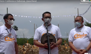 Gubernur Jabar Ajak Anak Muda Jadi Petani Milenial, Nantinya diberi Lahan dan Modal dari Bank bjb
