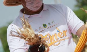 Gubernur Jabar Resmikan Teknologi Smart Greenhouse