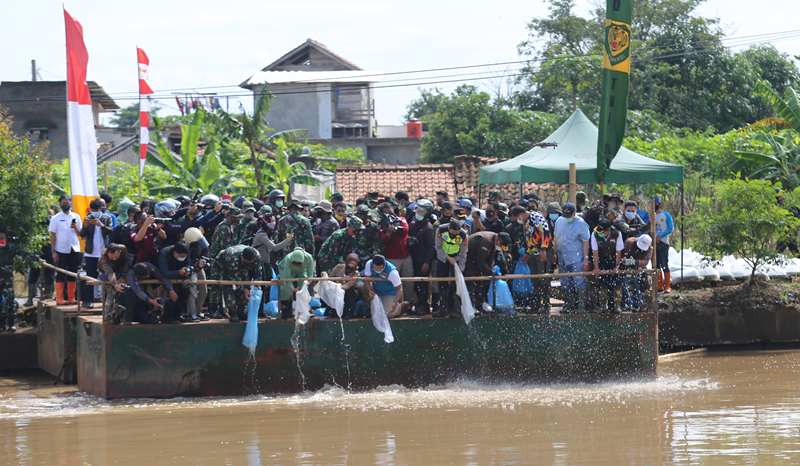 Citarum Menuju Jernih, bank bjb Sebarkan Benih