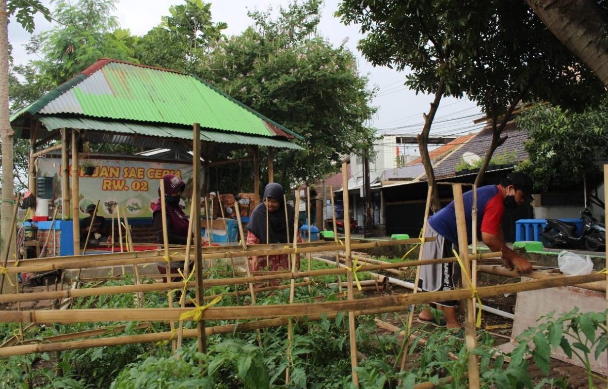 Manfaatkan Lahan Kosong, Warga RW 2 Panyileukan Ciptakan Taman Kebun SAE Manfaatkan Lahan Kosong, Warga RW 2 Panyileukan Ciptakan Taman Kebun SAE