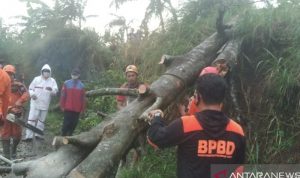 Dalam 2 Hari, BPBD Bogor Berhasil Tangani 9 Bencana Alam
