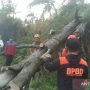 Dalam 2 Hari, BPBD Bogor Berhasil Tangani 9 Bencana Alam