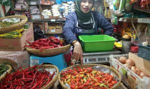 Kenaikan Harga Cabai Rawit dan Ikan Picu Inflasi pada Februari 2021