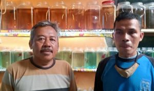 Meski di Tengah Pandemi Covid-19, Warga Desa Cipacing Ini Sukses Membangun Budidaya Ikan Cupang