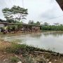 Adakan Lomba Menggiurkan, Kolam Pemancingan Lele Bima Galatama Dibanjiri Pengunjung