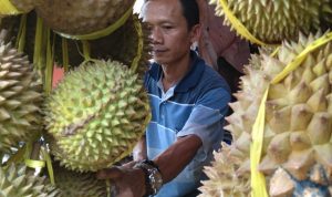 Dampak Pandemi Covid-19, Pedagang Durian di Cicalengka Keluhkan Penjualan yang Turun Drastis