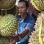 Dampak Pandemi Covid-19, Pedagang Durian di Cicalengka Keluhkan Penjualan yang Turun Drastis