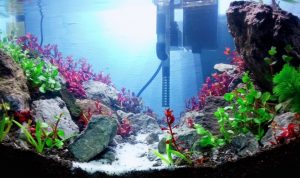 Tenaga Juru Ukur Tanah Banting Stir Jadi Pengrajin Aquascape di Masa Pandemi Covid-19