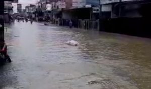 Banjir Kembali terjadi di Pamanukan dan Karang Patri, PLN Tidak Operasikan 5 Gardu Demi Keamanan Banjir Kembali terjadi di Pamanukan dan Karang Patri, PLN Tidak Operasikan 5 Gardu Demi Keamanan
