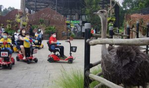 Long Weekend, Lembang Park and Zoo Perketat Protokol Kesehatan
