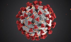 Vaksin Terus Bertambah, Bio Farma Optimistis Indonesia Capai Herd Immunity