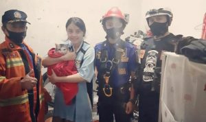 Petugas DISKAR PB Kota Bandung Evakuasi Dua Ekor Kucing yang Tercebur Ke Sumur