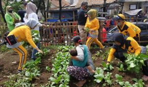 Warga Ciodeg Antusias Dengan Hadirnya Fasilitas Umum di Bantaran Sungai Citarum Warga Ciodeg Antusias Dengan Hadirnya Fasilitas Umum di Bantaran Sungai Citarum