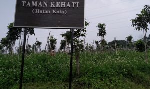 Pemkot Cimahi Kesulitan Tambah RTH Pemkot Cimahi Kesulitan Tambah RTH