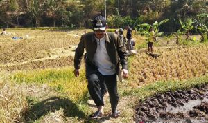 Berpotensi Besar, Pemkab Garut Dorong Pengembangan Usaha Peternakan Berpotensi Besar, Pemkab Garut Dorong Pengembangan Usaha Peternakan