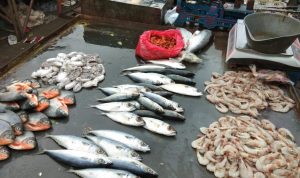 Harga Ikan Laut Beku di Pasar Ujung Berung Masih Stabil