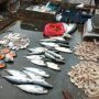 Harga Ikan Laut Beku di Pasar Ujung Berung Masih Stabil